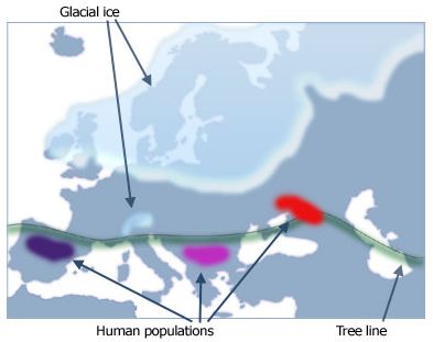 DNA map 1