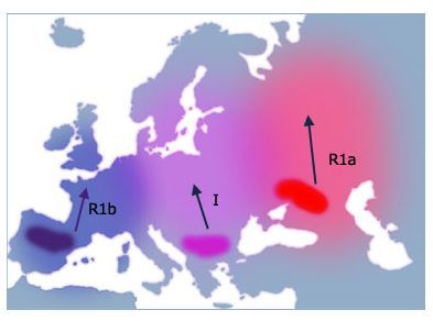 DNA map 2